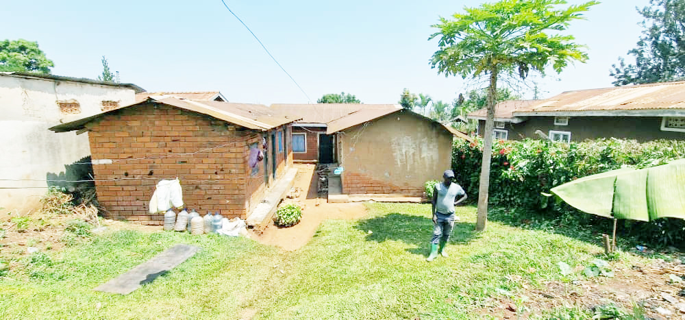 WhatsApp Image 2025-07-29 at 13.32.44.jpg